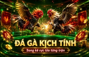 Sảnh Đá Gà youratlantalife